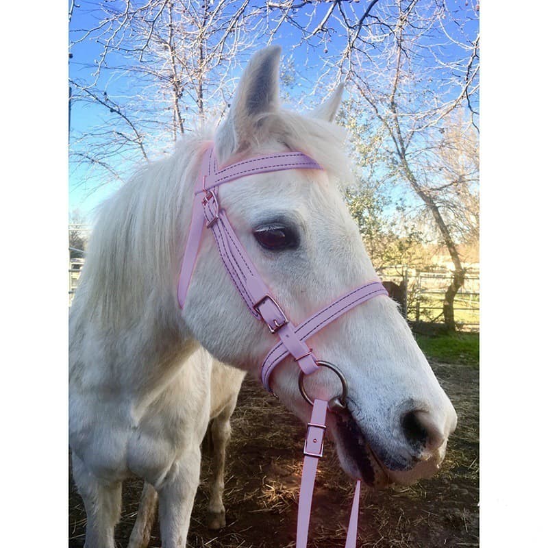 Amazon Wish New Product Cross-border Source Horse Rein