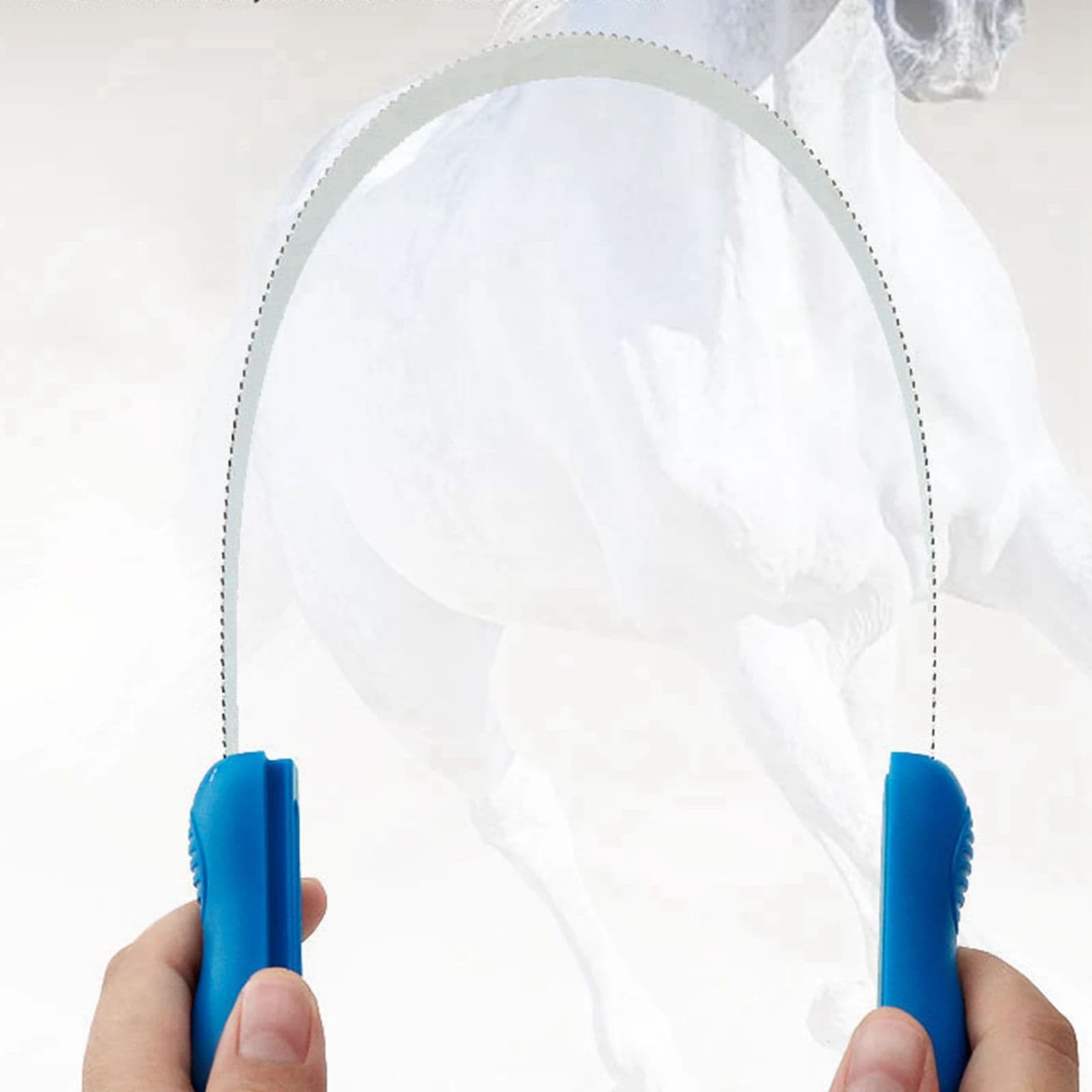 Curry Comb & Sweat Scraper