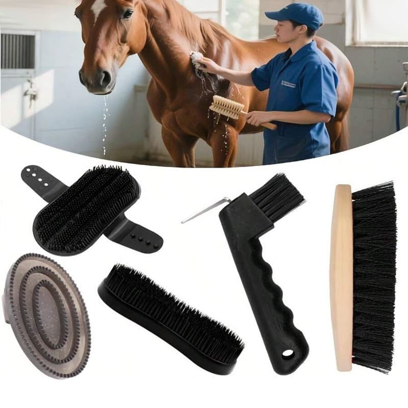 Horse grooming kit, 5 pieces with hoof pick