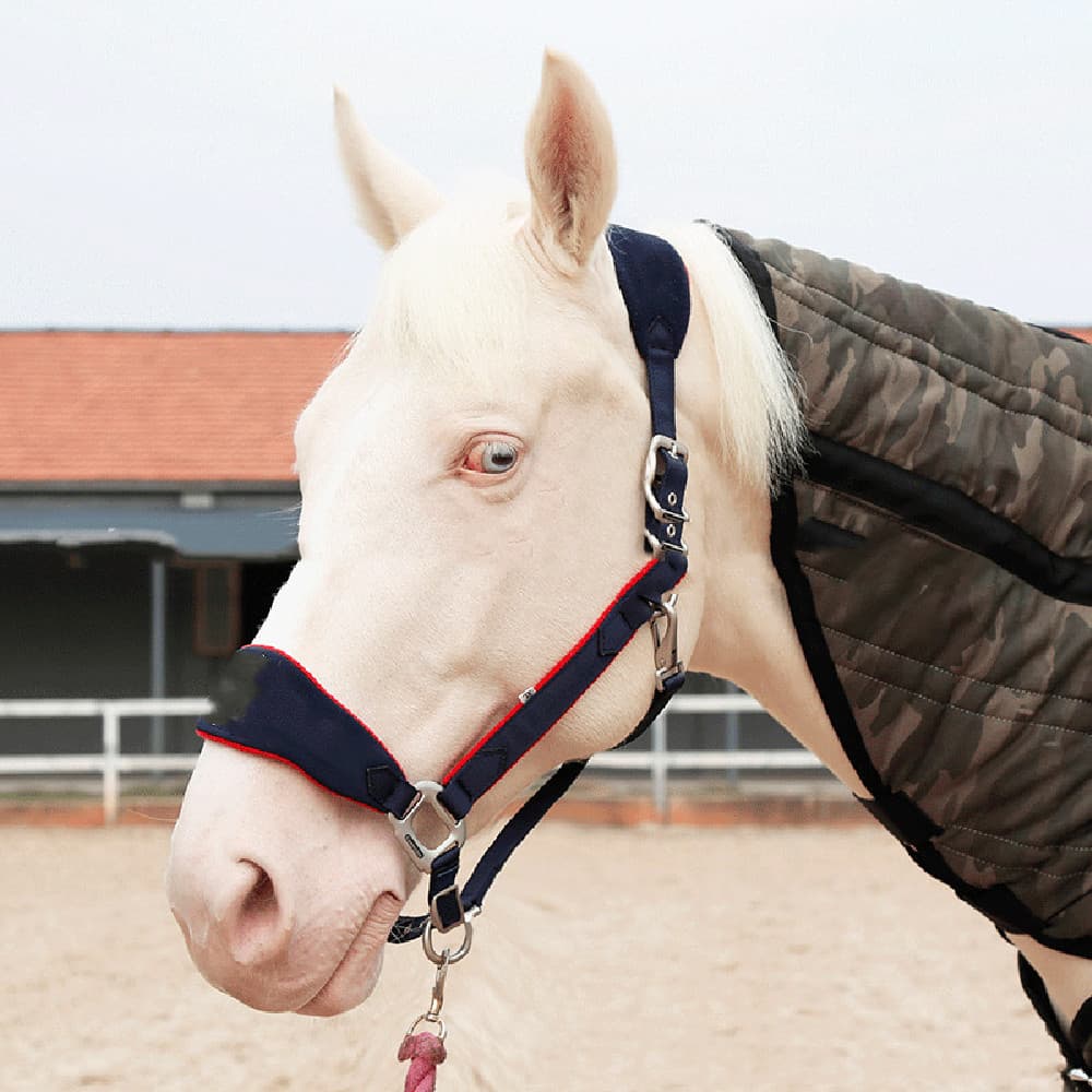 Fleece-Lined Horse Halter